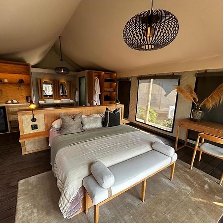 Addo Elephant Safari Lodge - Bellevue Forest Reserve Paterson Exteriér fotografie