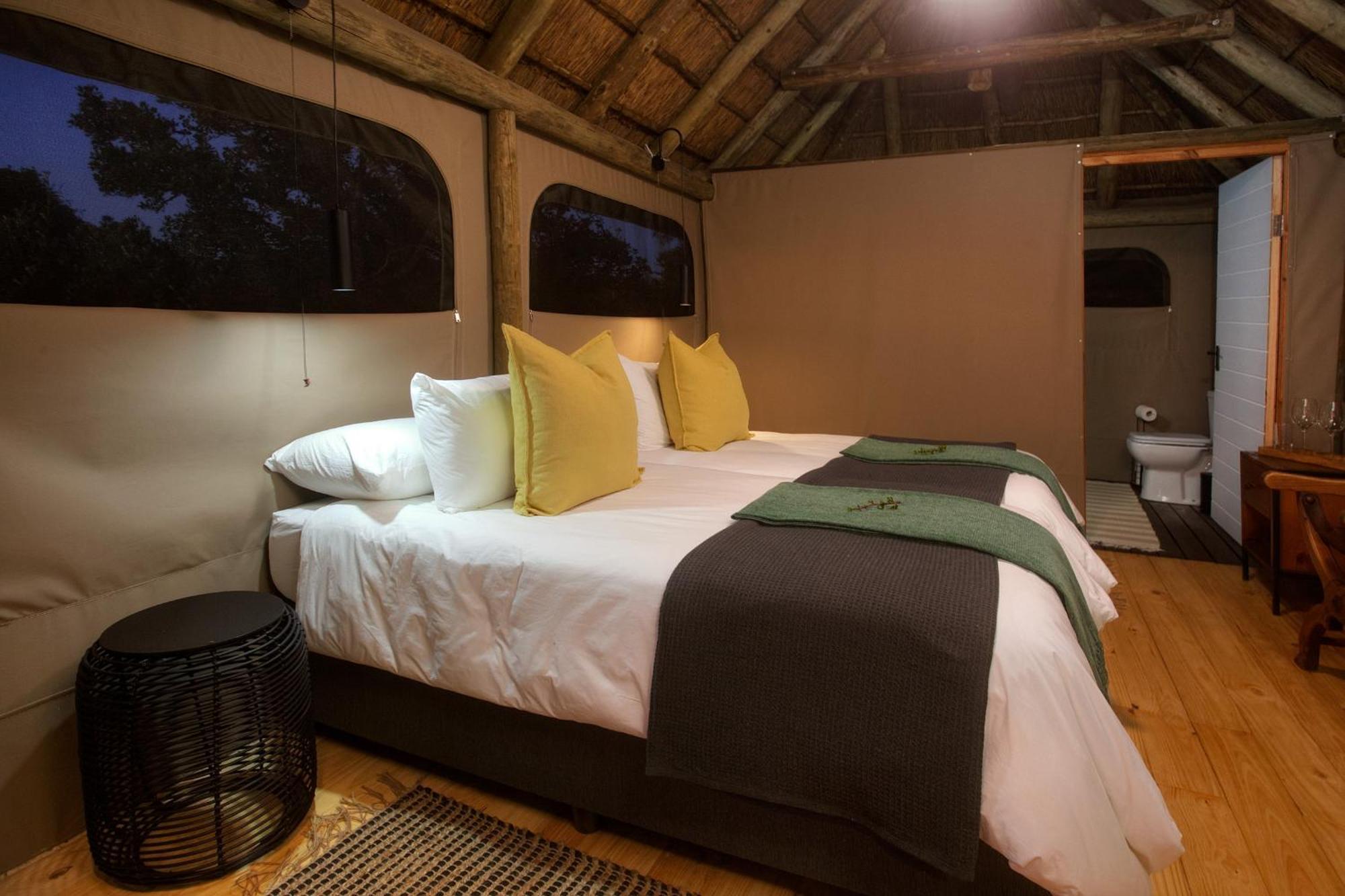 Addo Elephant Safari Lodge - Bellevue Forest Reserve Paterson Exteriér fotografie