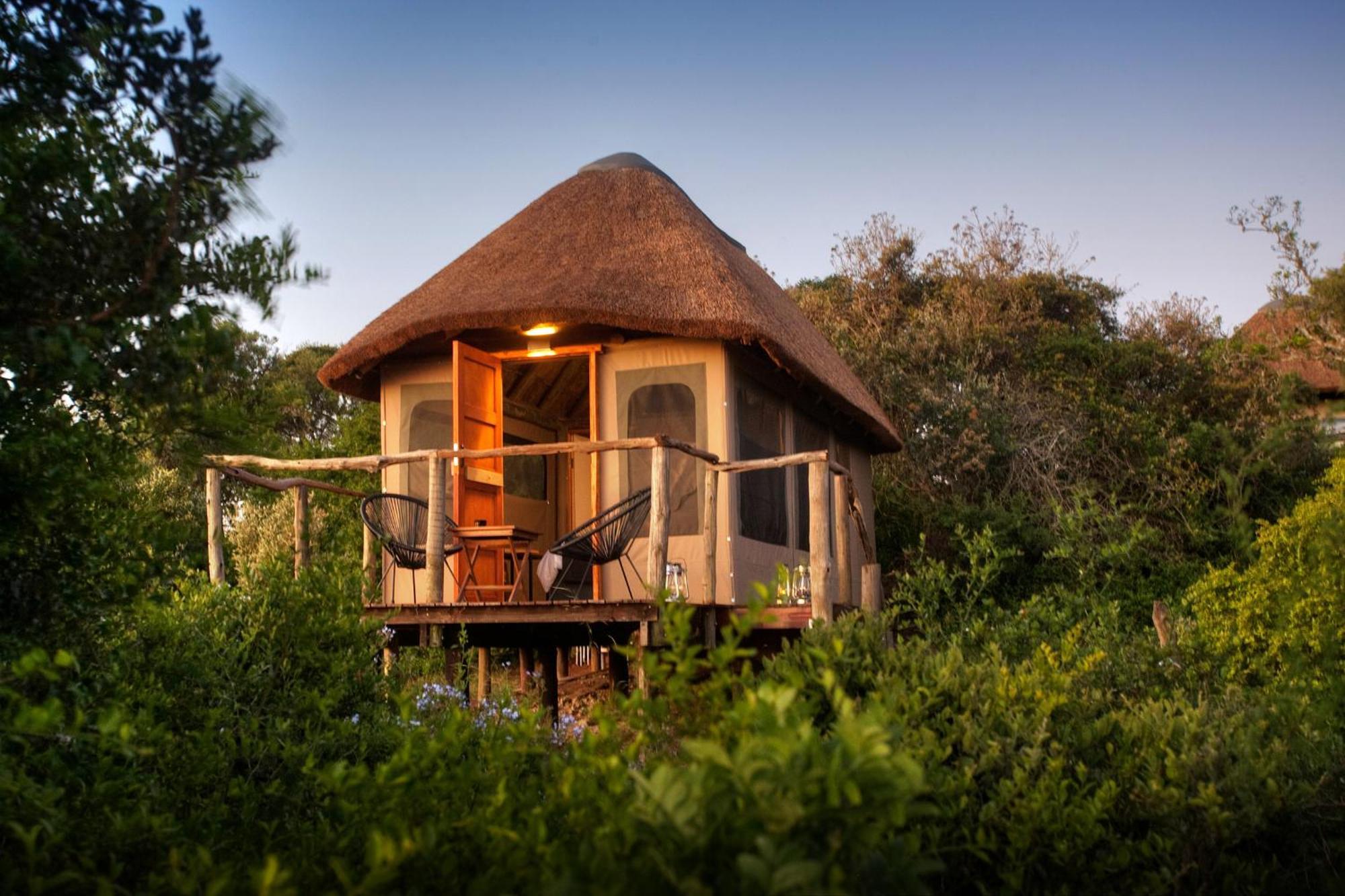 Addo Elephant Safari Lodge - Bellevue Forest Reserve Paterson Exteriér fotografie