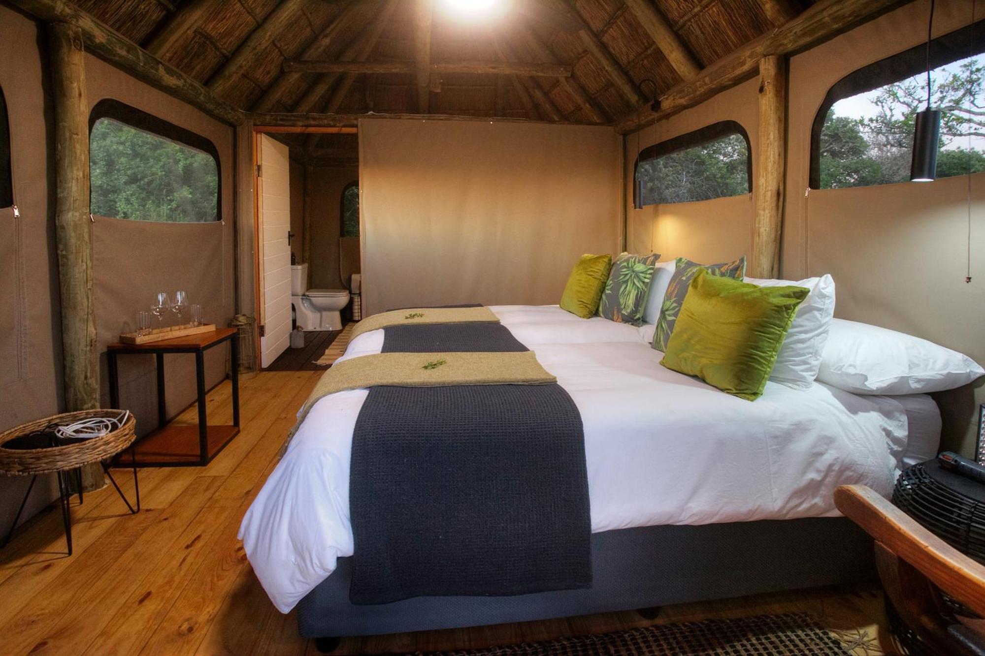 Addo Elephant Safari Lodge - Bellevue Forest Reserve Paterson Exteriér fotografie