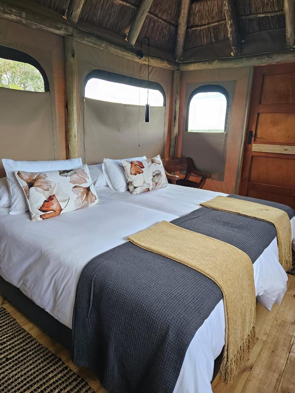 Addo Elephant Safari Lodge - Bellevue Forest Reserve Paterson Exteriér fotografie