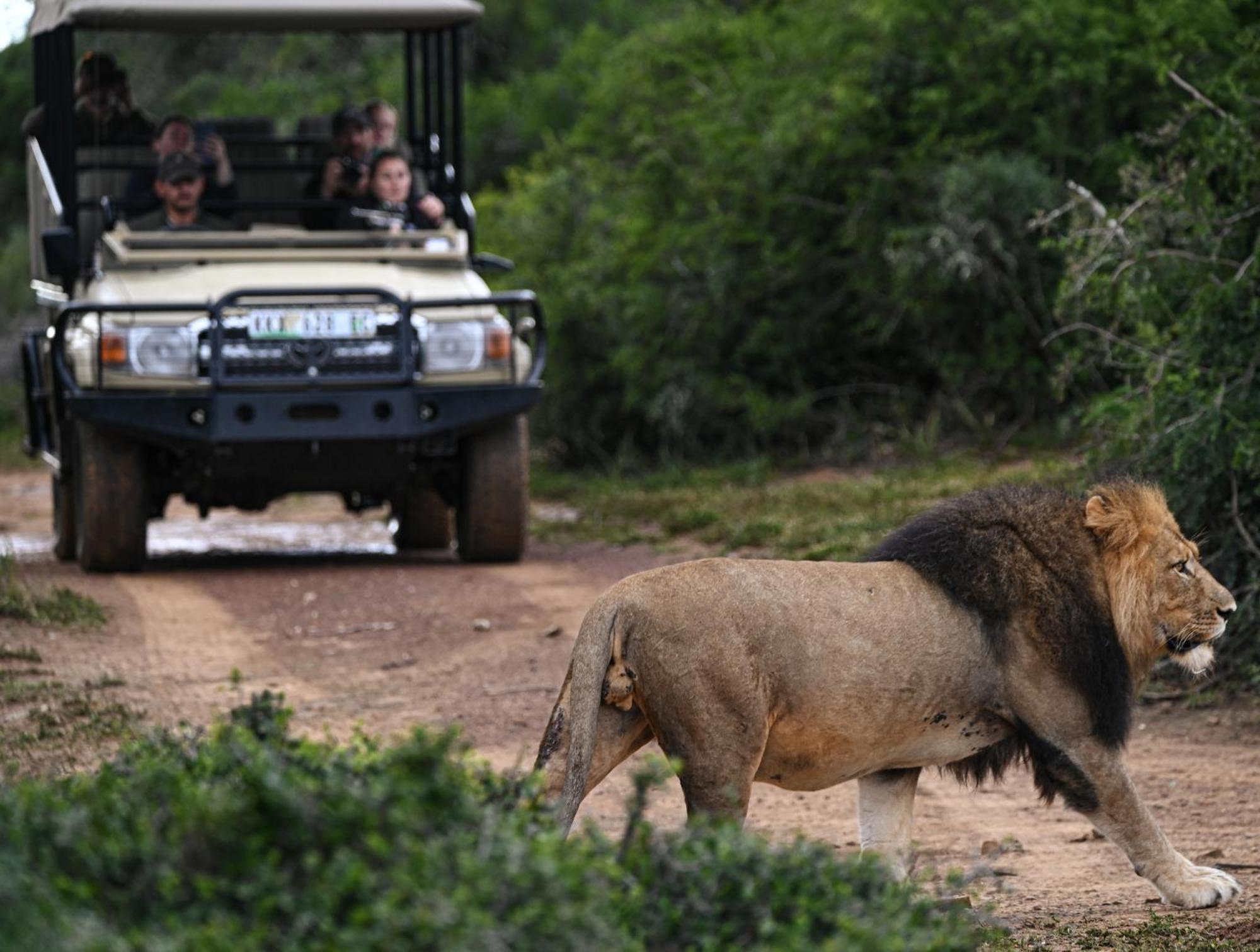 Addo Elephant Safari Lodge - Bellevue Forest Reserve Paterson Exteriér fotografie