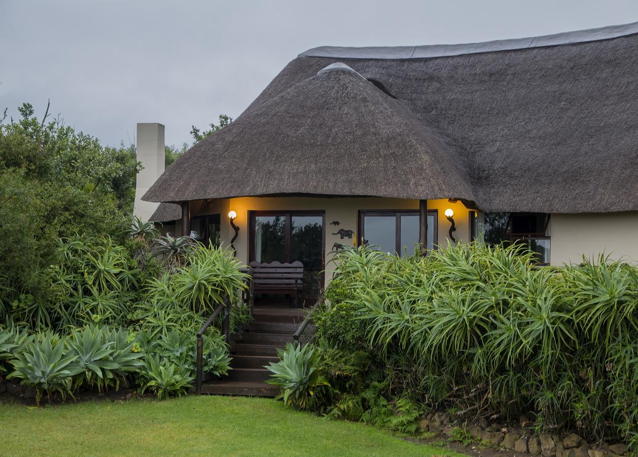 Addo Elephant Safari Lodge - Bellevue Forest Reserve Paterson Exteriér fotografie