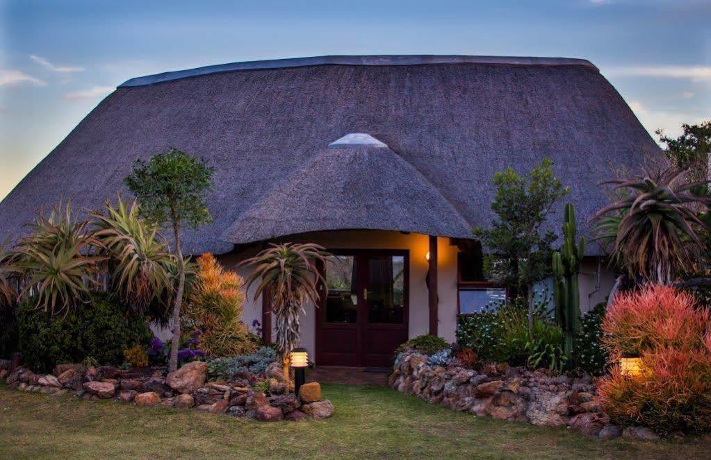 Addo Elephant Safari Lodge - Bellevue Forest Reserve Paterson Exteriér fotografie