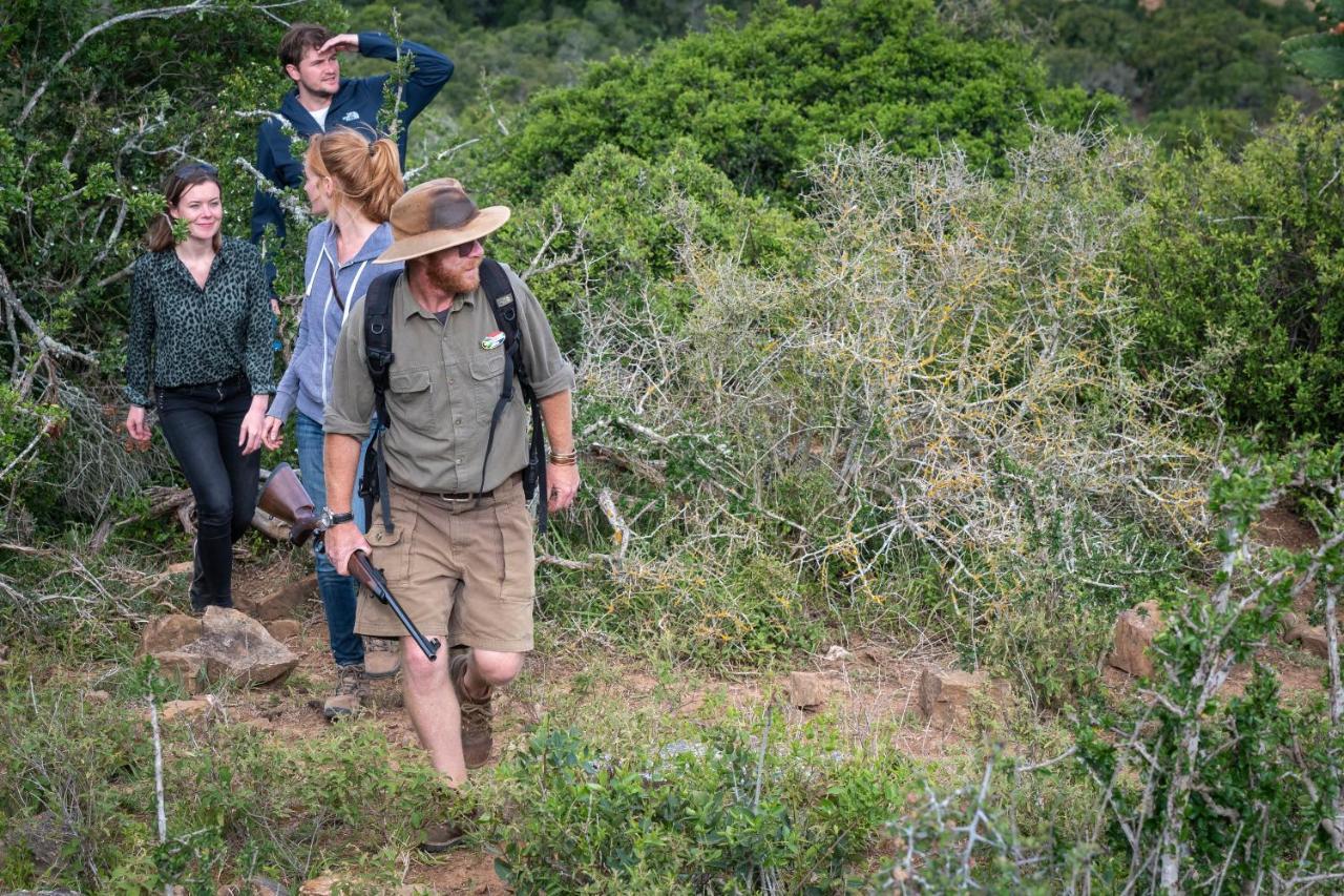 Addo Elephant Safari Lodge - Bellevue Forest Reserve Paterson Exteriér fotografie