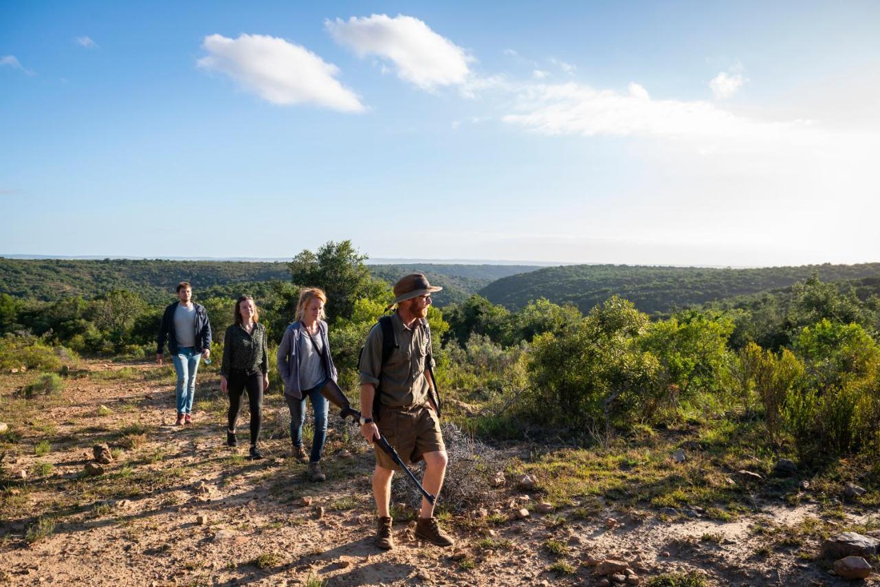Addo Elephant Safari Lodge - Bellevue Forest Reserve Paterson Exteriér fotografie