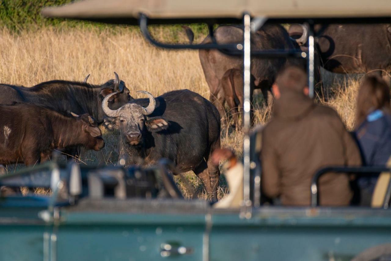 Addo Elephant Safari Lodge - Bellevue Forest Reserve Paterson Exteriér fotografie