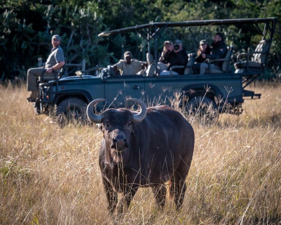 Addo Elephant Safari Lodge - Bellevue Forest Reserve Paterson Exteriér fotografie