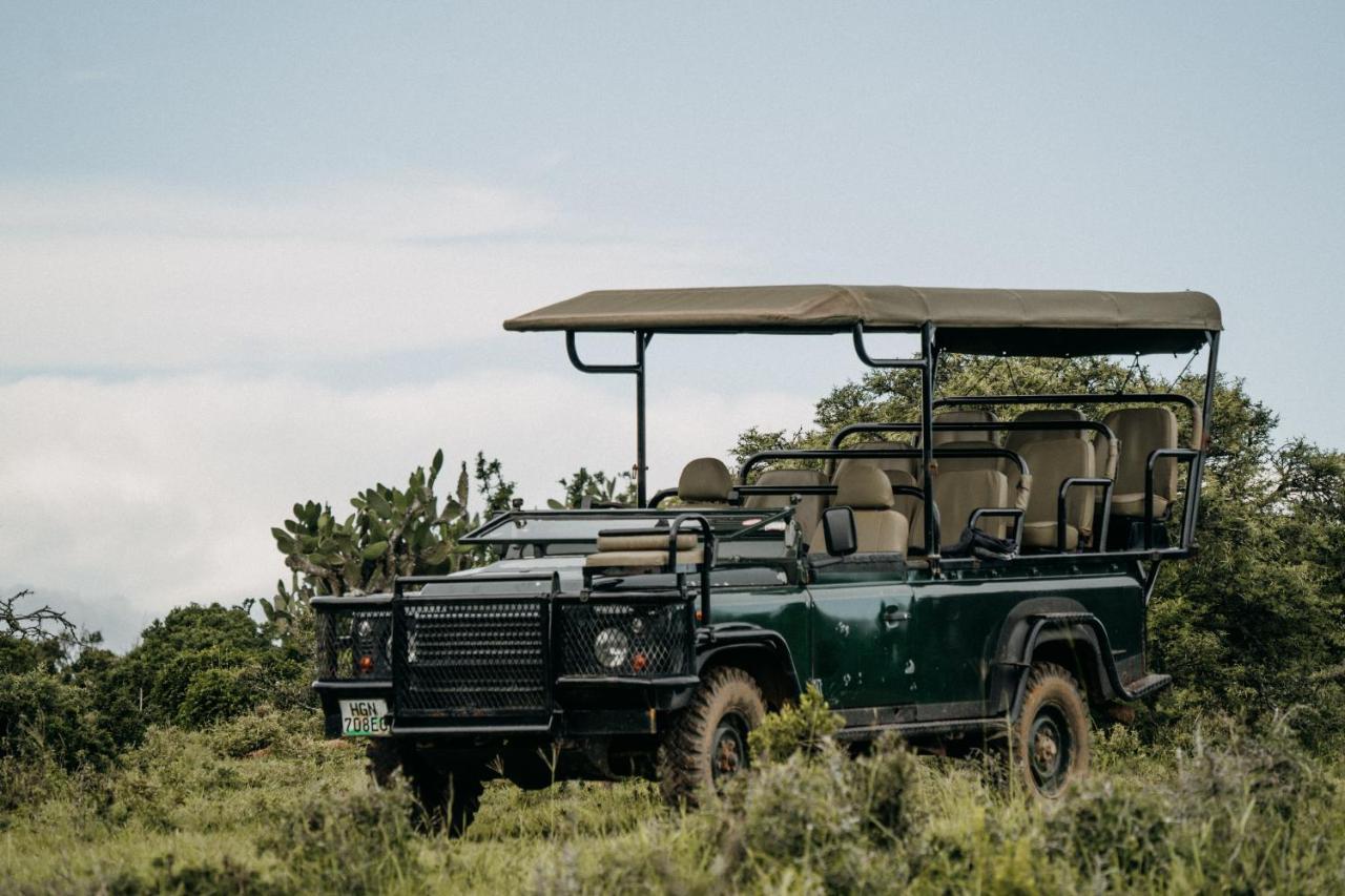 Addo Elephant Safari Lodge - Bellevue Forest Reserve Paterson Exteriér fotografie